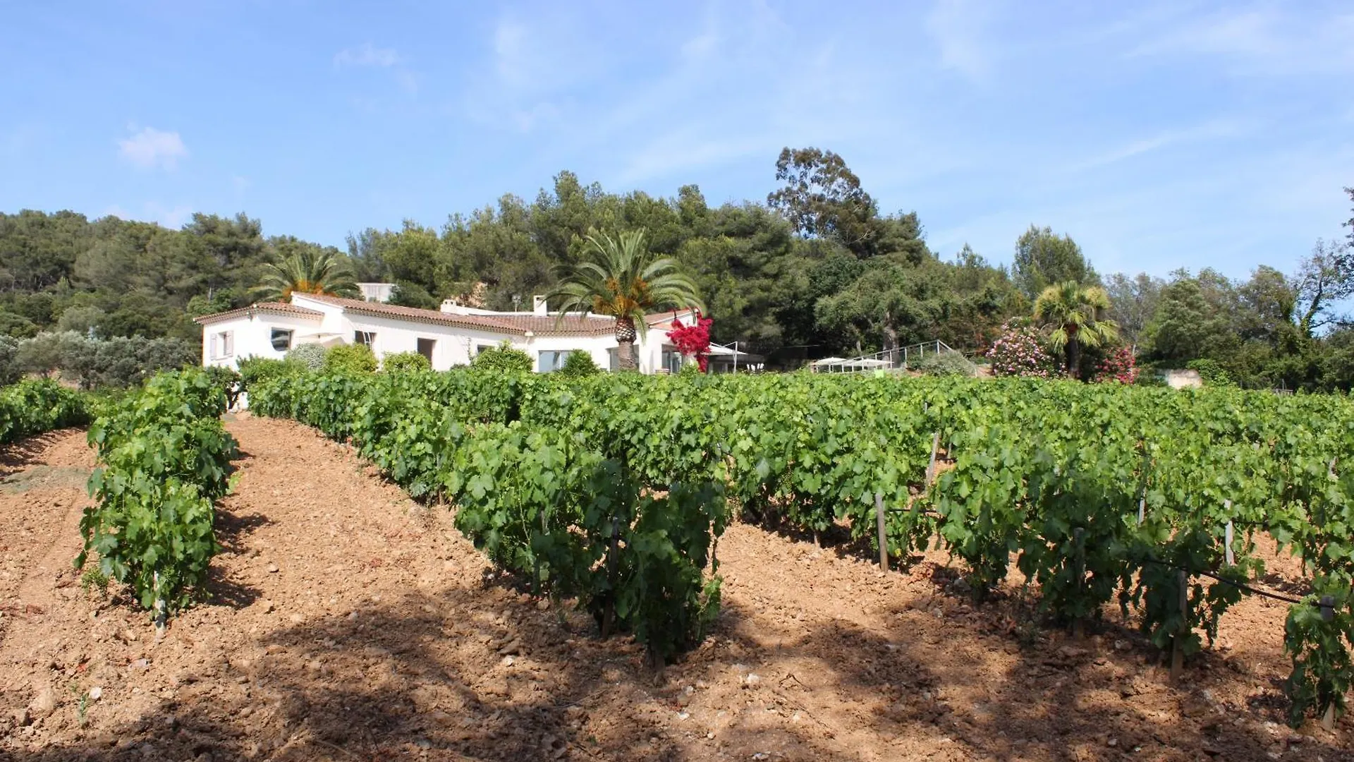 Le Domaine Des Vignes-Spacieuse Villa/Piscine Hyeres