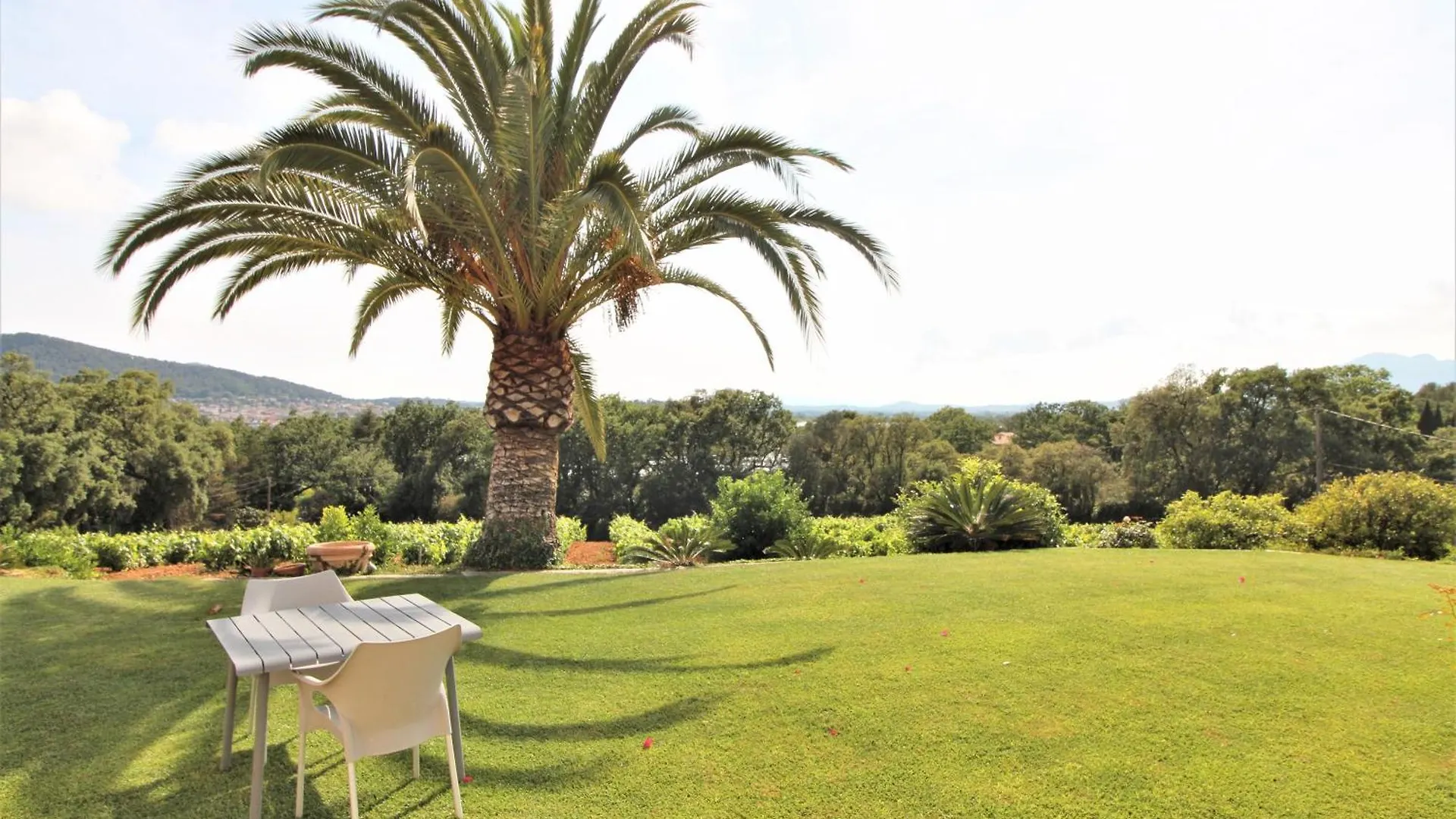 Le Domaine Des Vignes-Spacieuse Villa/Piscine Hyeres 0*,