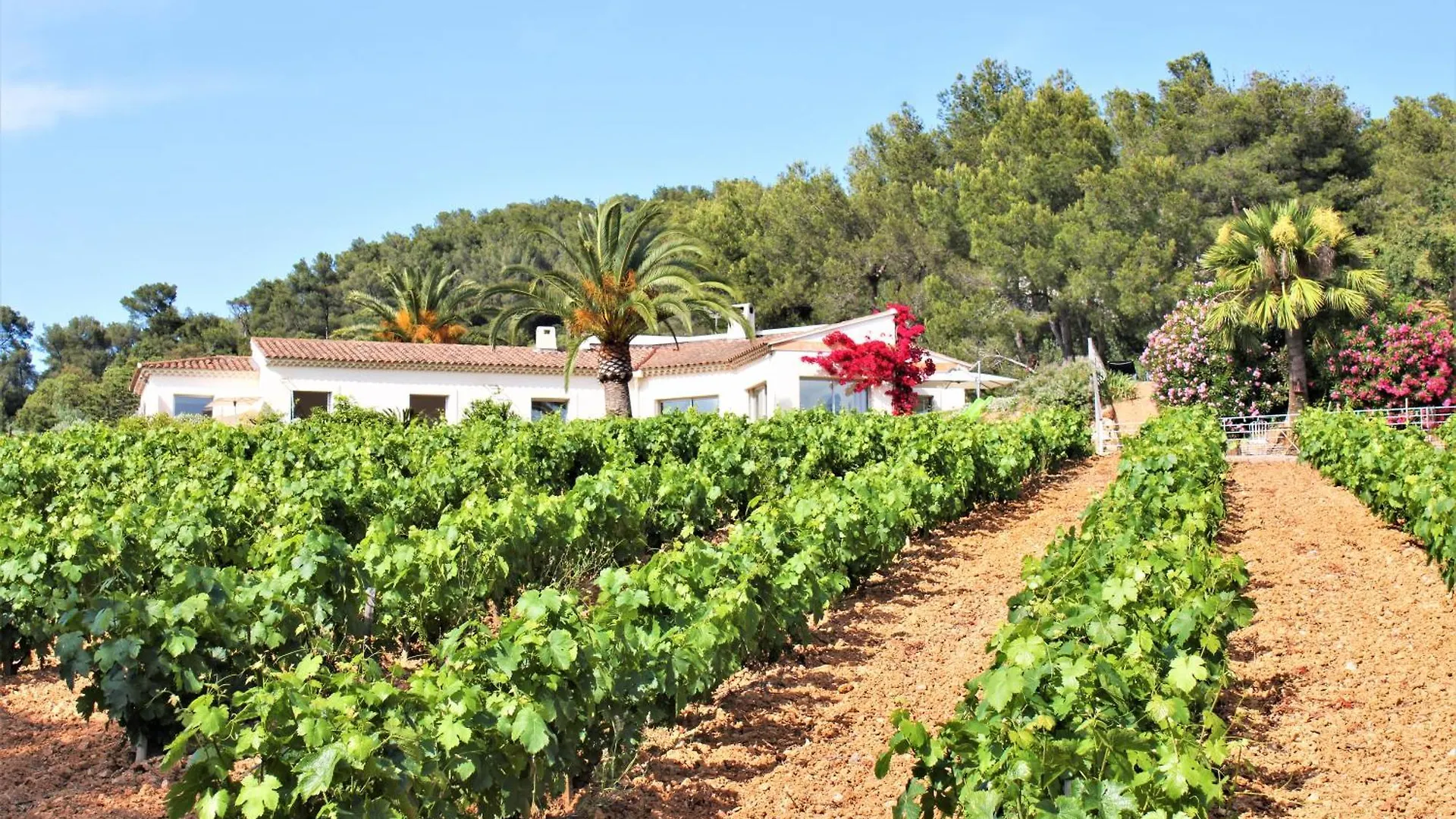 Le Domaine Des Vignes-Spacieuse Villa/Piscine Hyeres 0*,  France