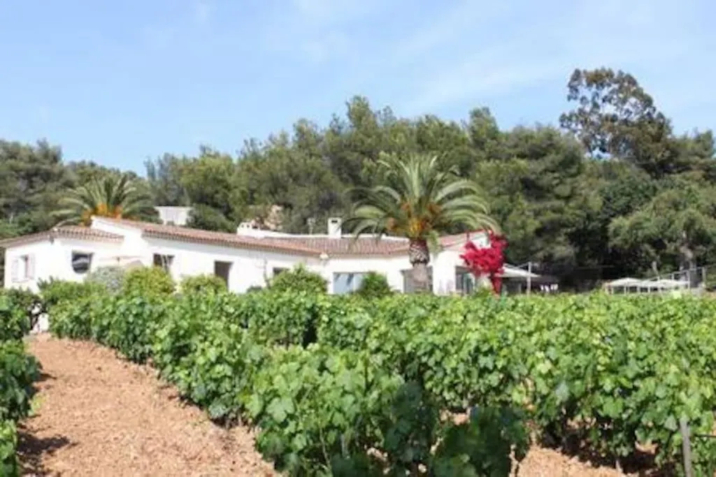 Villa Le Domaine Des Vignes-Spacieuse Villa/Piscine Hyeres