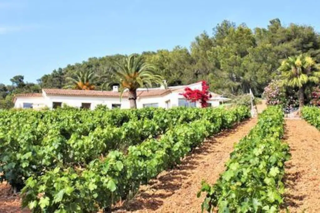 Villa Le Domaine Des Vignes-Spacieuse Villa/Piscine Hyeres